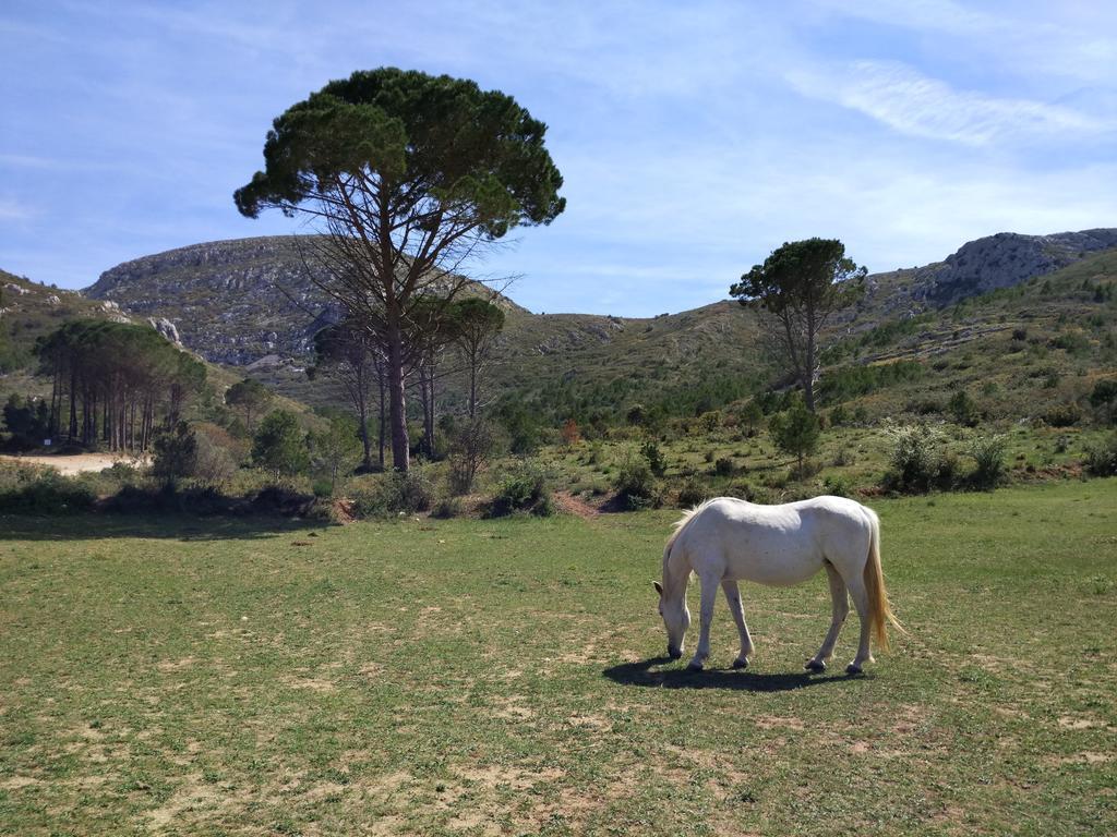 Lliris Sol Appartement *